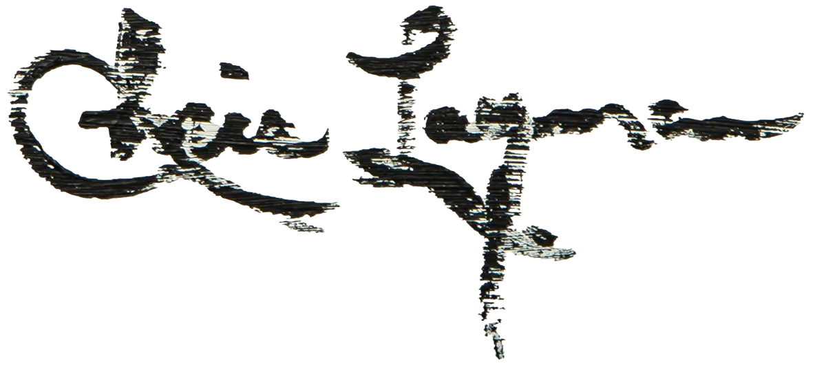 Chris Layman signature